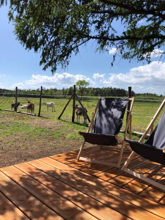 Zamieszkaj Na Wsi Blisko Warszawy Villa Borucza Bagian luar foto